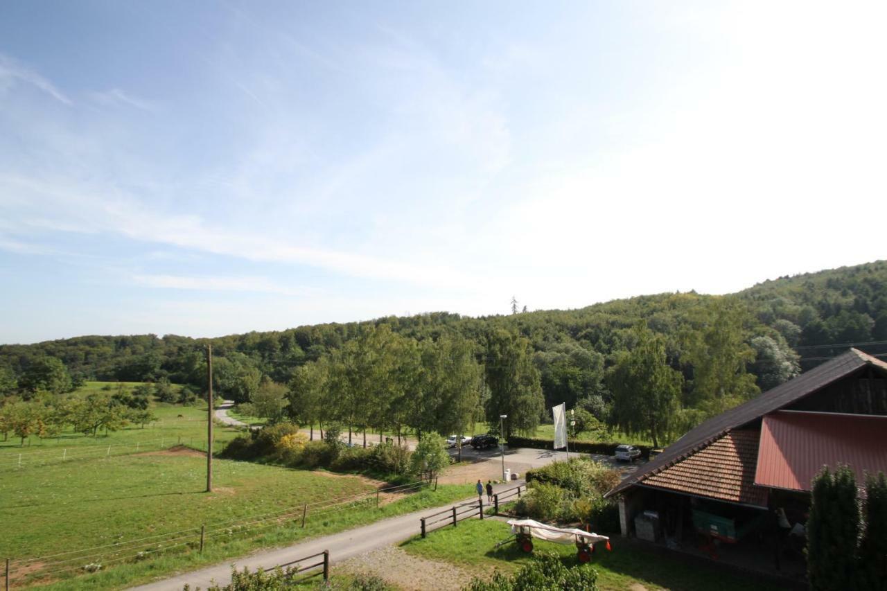 Ferienwohnung Edelbrenner Rimbach  Extérieur photo